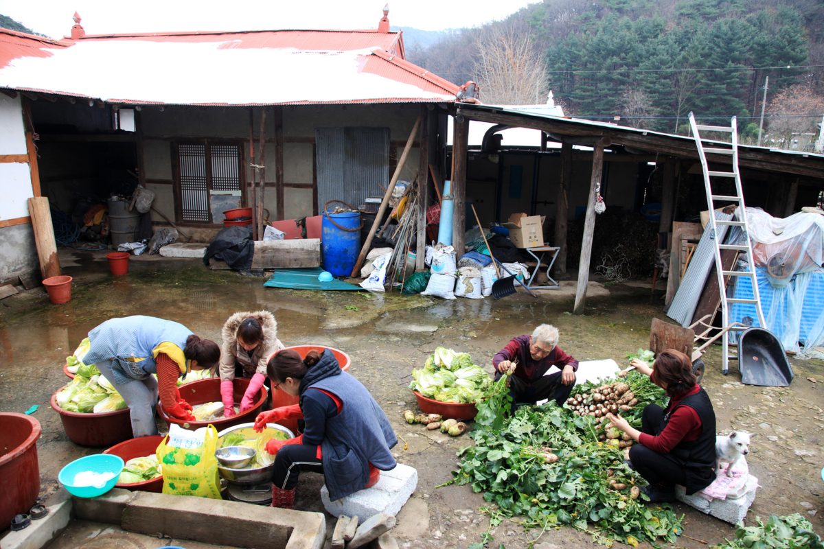 <p class="gallery1">정기은</p><p class="gallery2">김장하는 날</p>